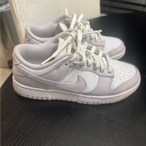 Venice Nike Dunks